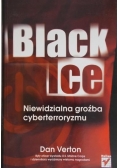 Black Ice, Niewidzialna groźba cyberterroryzmu