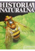 Historia naturalna bezkręgowce