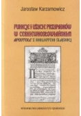 Funkcje i użycie przypadków w cerkiewnosłowiańskim apostole z biblioteki śląskiej