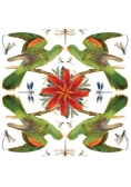 Karnet kwadrat z kopertą Red-winged Parrot