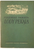 Lody pękają