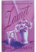 Zamęt