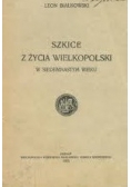 Szkice z życia wielkopolski w siedemnastym wieku, 1925 r.