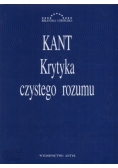 Krytyka czystego rozumu, nowa