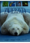 Wielka encyklopedia zwierząt ssaki ptaki gady płazy