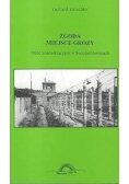 Zgoda miejsce grozy