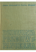 Dziewiąta przeciwpancerna