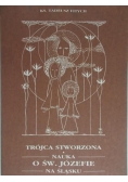 Trójca stworzona. Nauka o Św.Józefie na Śląsku