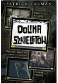 Dolina Szkieletów: Dziennik Ryana