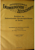 Internationale etmologische zeitschrift