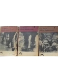 Hitler Studium tyranii, tom 1-3