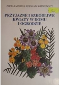 Przyjazne i szkodliwe kwiaty w domu i ogrodzie