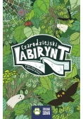 Czarodziejski labirynt