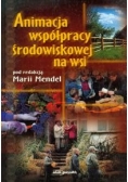Animacja współpracy środowiskowej na wsi