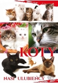 Koty. Nasi Ulubieńcy