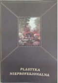 Plastyka nieprofesjonalna
