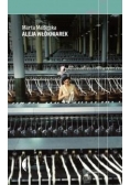 Aleja Włókniarek