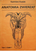 Anatomia zwierząt