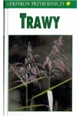 Trawy