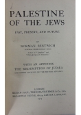 Palestine of the jews, 1919 r.