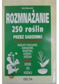 Rozmnażanie 250 roślin przez Sadzonki