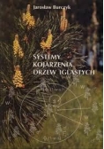Systemy kojarzenia drzew iglastych