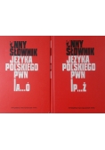 Inny słownik Języka Polskiego PWN, Tom I-II