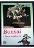 Bonsai z drzew rodzimych