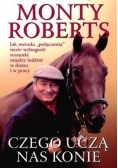 Czego uczą nas konie