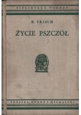 Życie pszczół