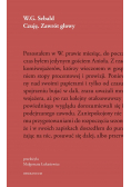 Czuję. Zawrót głowy