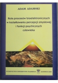 Rola procesów bioelektrycznych w kształtowaniu percepcji zmysłowej i funkcji psychicznych człowieka