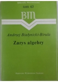 Zarys algebry