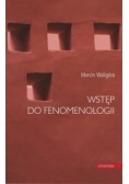 Wstęp do fenomenologii