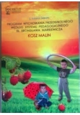Program wychowania przedszkolnego według systemu  pedagogicznego bł. Bronisława Markiewicza. Kosz malin