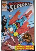Superman Pewnej nocy w mieście Gotham