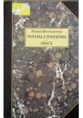 Notatki z podziemia, Gracz