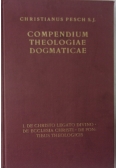 Compendium Theologiae Dogmaticae, 1864 r.