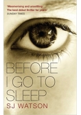 Before I go to sleep