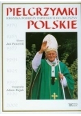 Pielgrzymki polskie Kronika podróży papieskich do ojczyzny.
