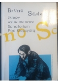 Sklepy cynamonowe Sanatorium pod klepsydrą Kometa