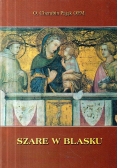 Szare w blasku