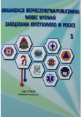 Organizacje bezpieczeństwa publicznego wobec wyzwań