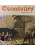 Csontvary