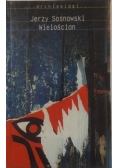 Wielościan