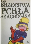 Pchła szachrajka