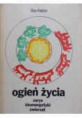 Ogień życia. Zarys bioenergetyki zwierząt