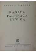 Kanada pachnąca żywicą, 1949 r.