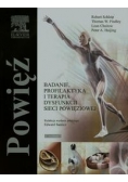 Powięź Badanie profilaktyka i terapia dysfunkcji sieci powięziowej