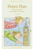 Peter Pan and Peter Pan in Kensington Gardens